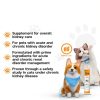 Kidney Support KC Complex Omega 3 Fish Oil for Cats & Dogs-1